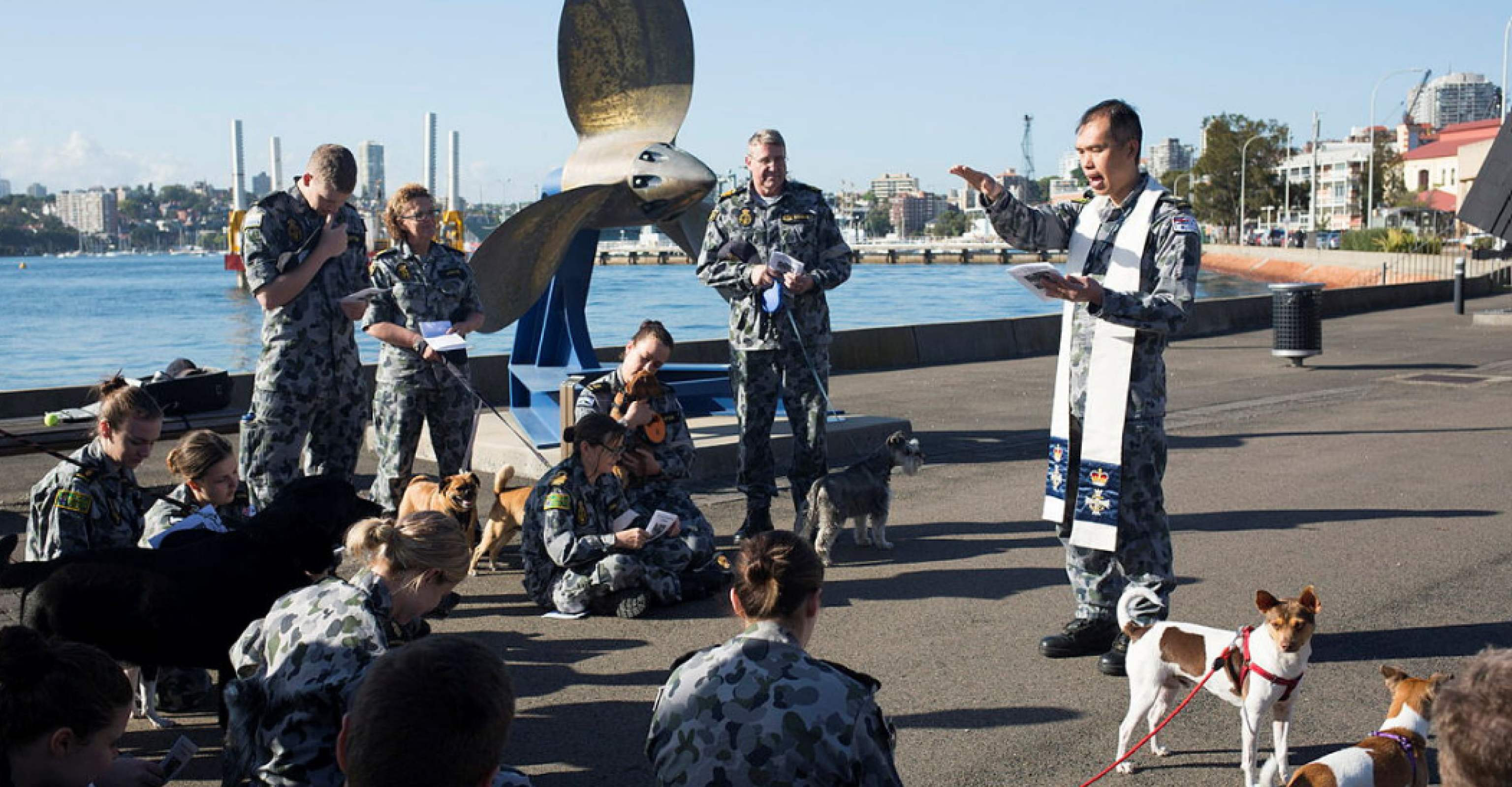 2016 bring your dog to work day